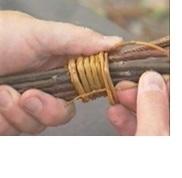 Loimien sitominen taipuisalla varvulla